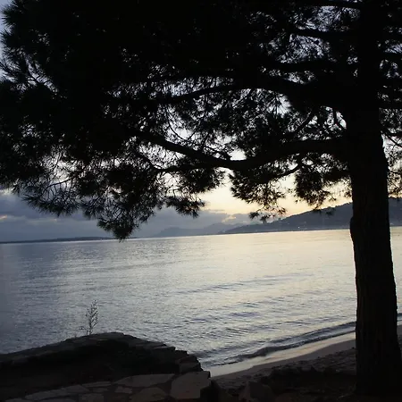 Bruyere * Antibes