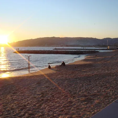 Bruyere * Antibes
