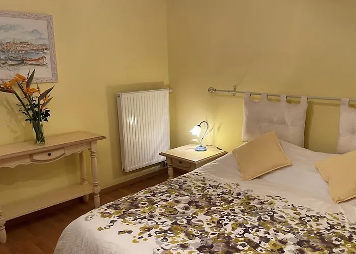 Bruyere * أنتيب