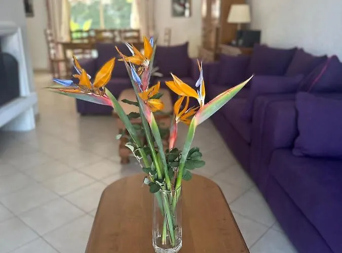 فيلة Bruyere أنتيب