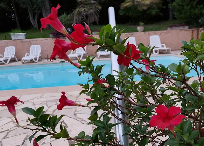 Bruyere فيلة أنتيب