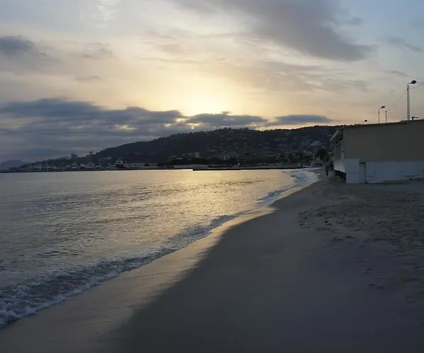 Bruyere فيلة أنتيب