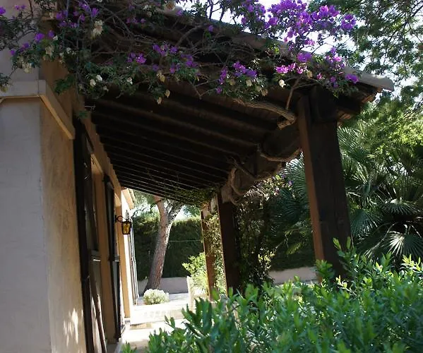 Bruyere * أنتيب