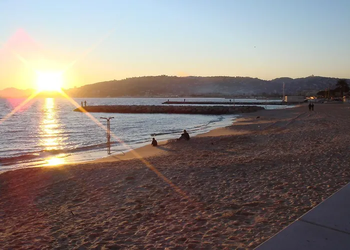 Bruyere * أنتيب