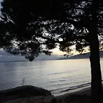 Bruyere * Antibes