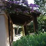 Bruyere * Antibes