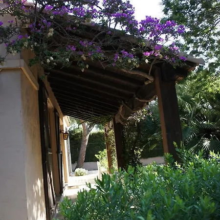 Bruyere * Antibes